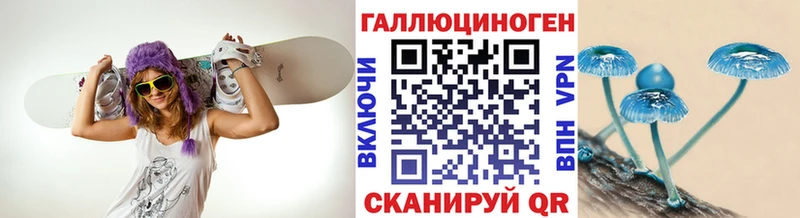 Галлюциногенные грибы Psilocybe  Талдом 